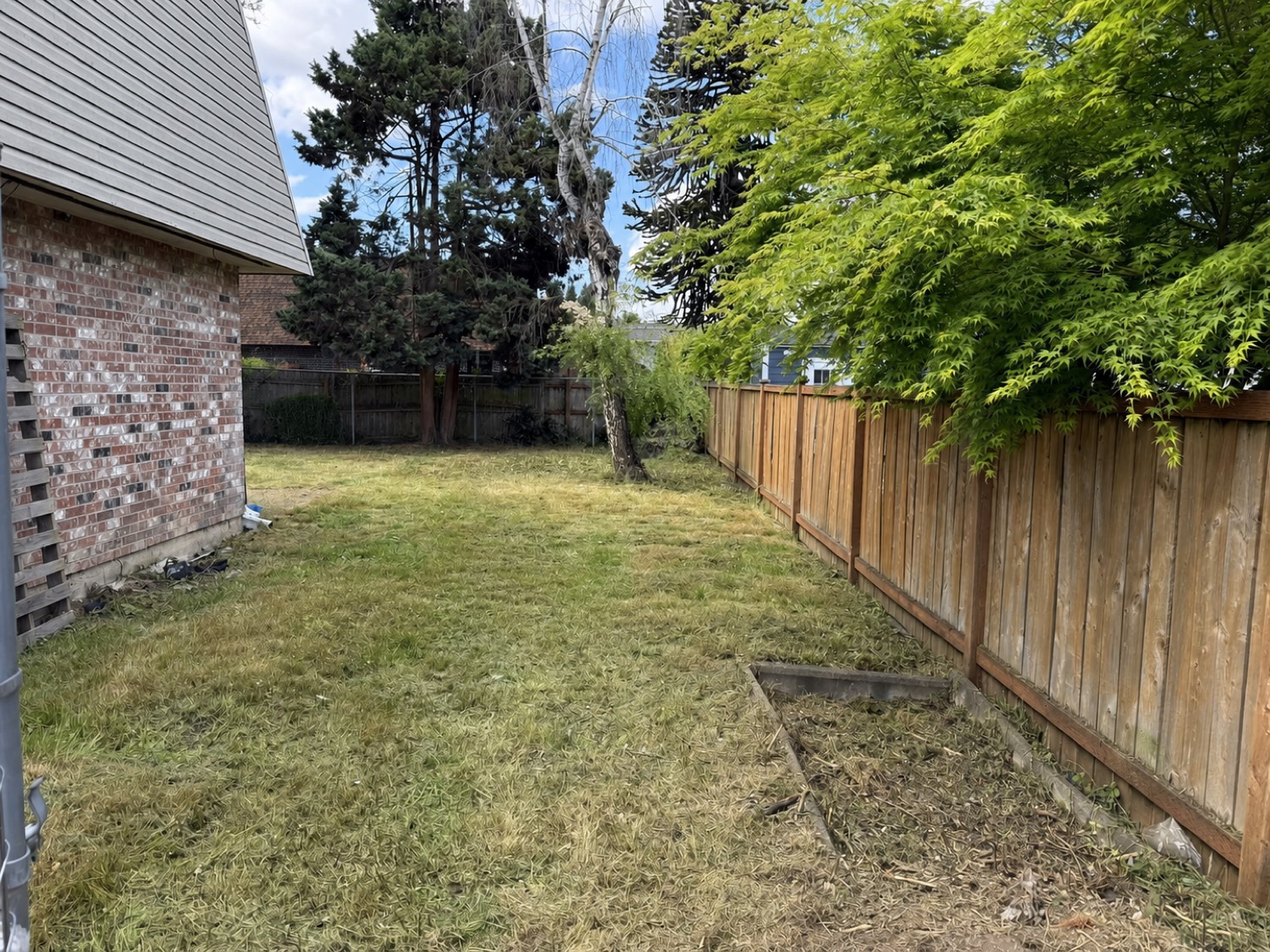 After an overgrown lawn cleanup
