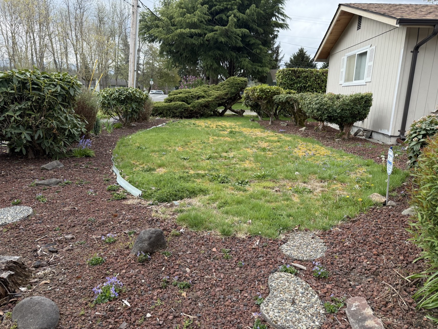 Before a lawn and landscape refresh at a residential property